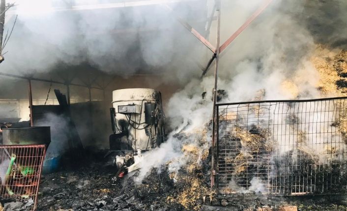 Ahır yandı, 12 ton buğday, bin 200 adet saman balyası kül oldu