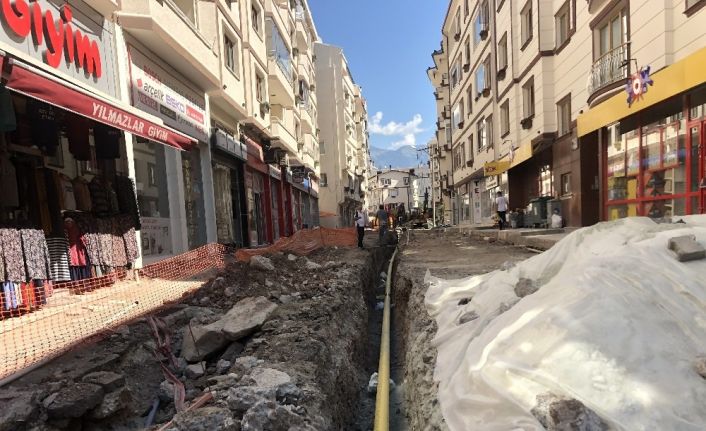 Artvin doğalgazına kavuşuyor