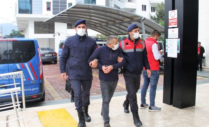 Bahçelerden iki ayda 260 bin TL değerinde avokado çaldı,  son işinde yakalandı