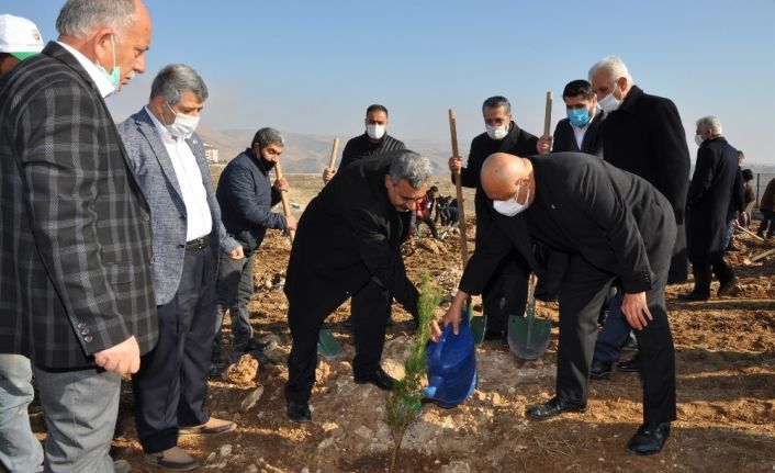 BATÜ’de 10 bin fidanlık Şehit Yasin Börü Ormanı oluşturuldu