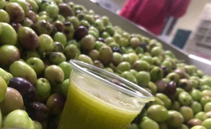 BAÜN’den tarımsal ve hayvansal üretim atağı