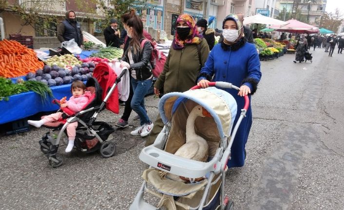 Bebek arabasından gelen sese anlam veremediler, gördükleri manzara ile şaşırdılar