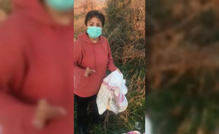 Bunun adı vicdansızlık...12 köpeği canlı canlı çuvala koyup ölüme terk ettiler