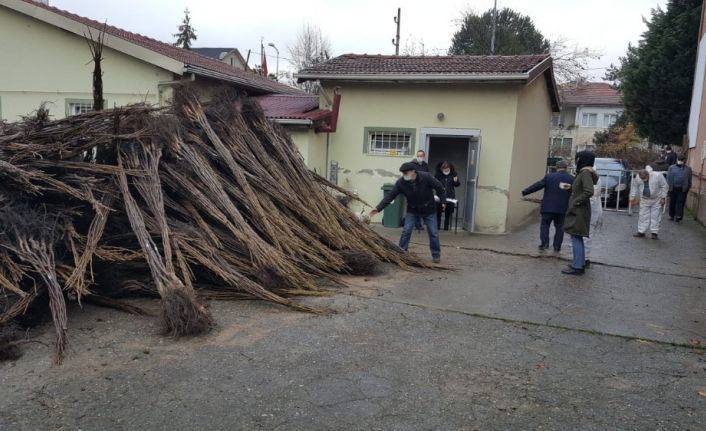 Chandler cinsi ceviz fidanlarının dağıtımı yapıldı