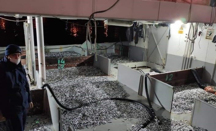 Düzce’de yasal boy sınırının altında avlanan 50 ton hamsiye el konuldu