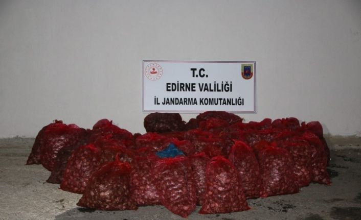 Edirne’de 1 ton kaçak kum midyesine 100 bin TL ceza kesildi