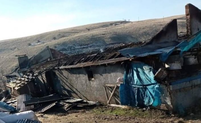 Elektrik kontağından çıkan yangın, 12 hayvanı telef  etti