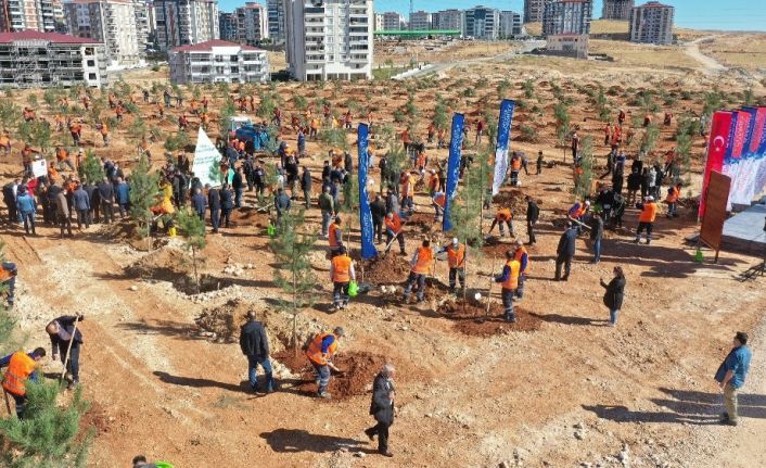 Gaziantep kent merkezinde 3 bin 83 büyük ağaç toprakla buluştu