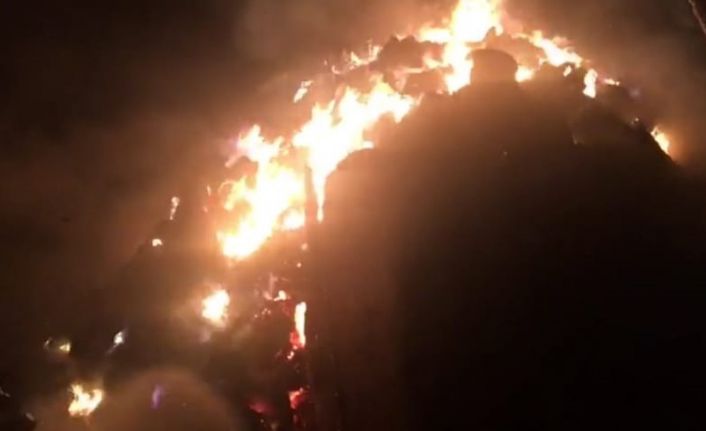 Hayvanları için almıştı, hepsi yangında kül oldu