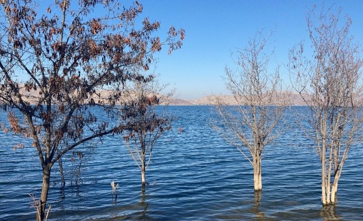 Her yerde baraj ve göllerde su seviyesi düştü, deprem merkezindeki o göldeki  yükselme dikkat çekti