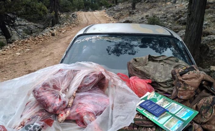 Kaçak yaban keçisi avlayan 2 kişiye 31 bin 236 TL para cezası kesildi