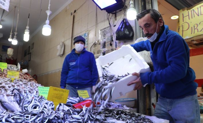 Karadeniz hamsisi 8 TL