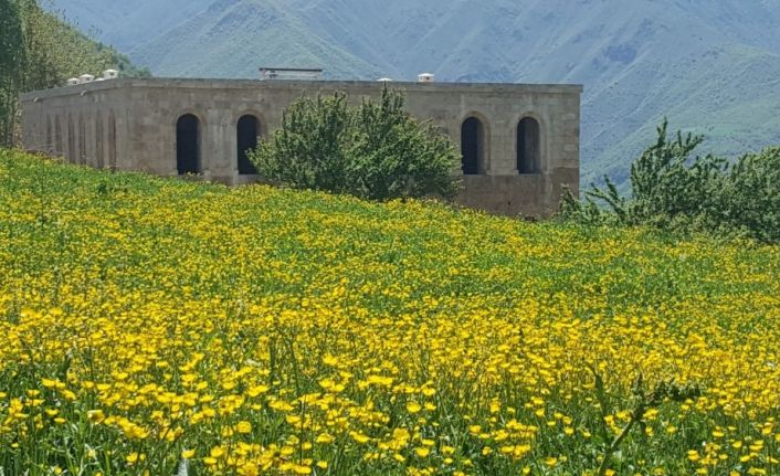 “Kayme Sarayı” fotoğrafının bira kutusuna işlenmesi tepki çekti