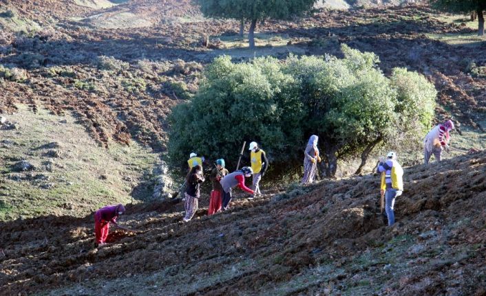 Kilis’te aroma vadisi oluşturuldu