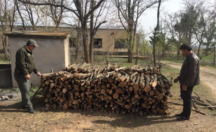Kırşehir’de, orman alanlarında 2 yılda 1 milyon  600 bin lira gelir sağlandı