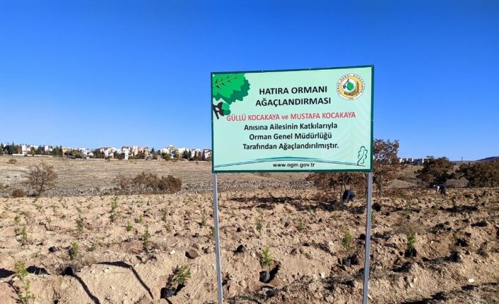Kocakaya ailesi için tesis edilen ‘hatıra ormanı’na 2 bin adet karaçam ve sedir fidanı dikildi