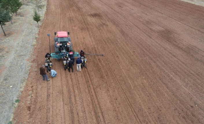 Konya lavantanın merkezi olacak