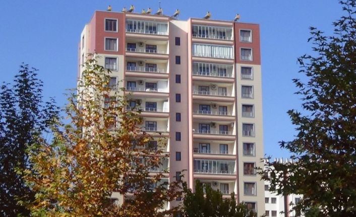 Korona virüsü atlatıp intihara kalkıştı, giriş kapısının üzerindeki tahta hayatta tuttu
