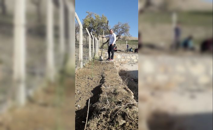 Kulplu muhtardan örnek davranış: Boş gördüğü her yere fidan dikiyor