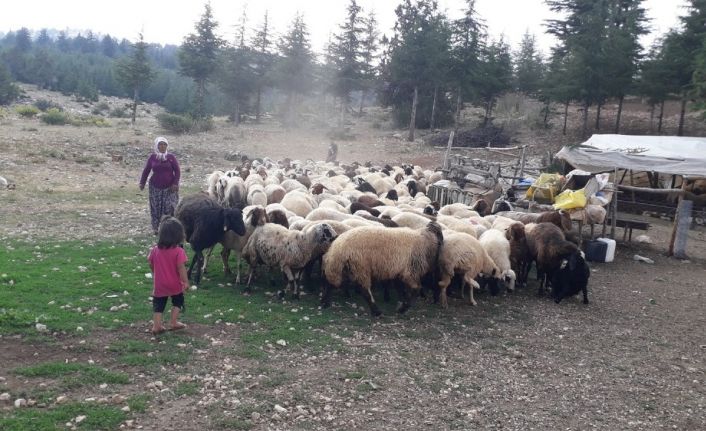 Mersin’de orman köylüsüne 8 milyon 700 bin TL kredi desteği verildi