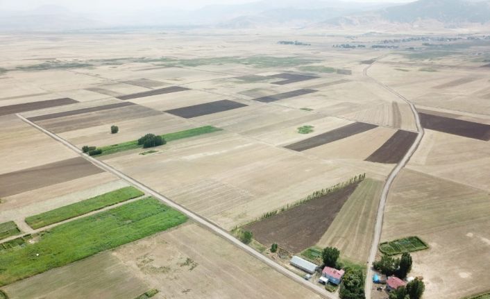 Muş ve Bitlis’te 189 bin 180 dekar alanda toplulaştırma yapıldı