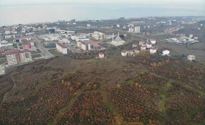 Ordu’ya yapılacak bin yataklı şehir hastanesinin yeri havadan görüntülendi