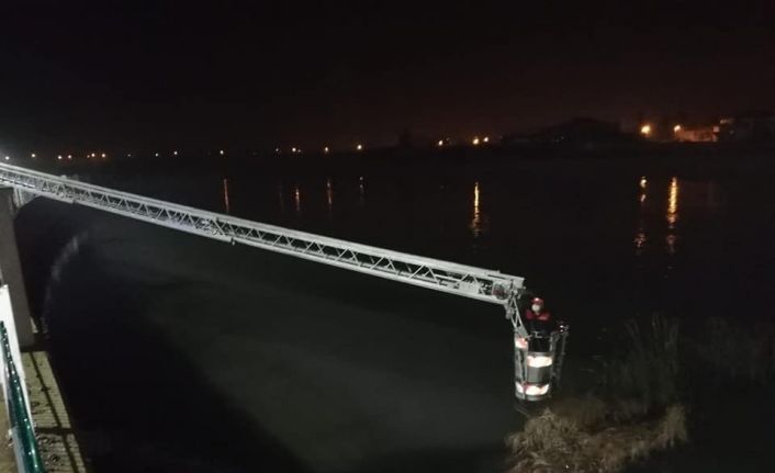 Osmancık’ta nehre düşen köpek kurtarıldı