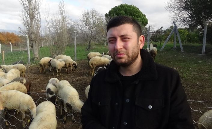 (Özel) Genç çoban can sıkıntısı diye başladı, 3 milyon izlenmeye ulaştı