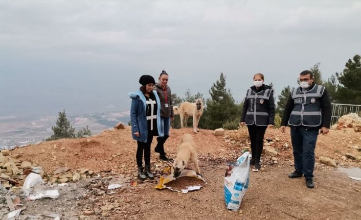 Polisten sokak hayvanlarına mama