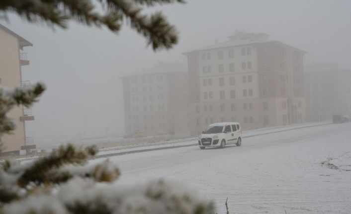 Sarıkamış’ta kar ve sis hayatı olumsuz etkiledi, her yer beyaza büründü