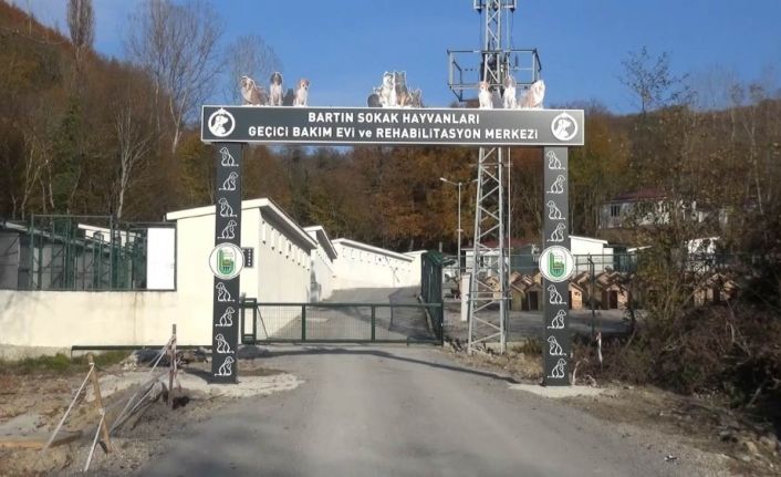 Sokak hayvanları için otel konforunda geçici bakım merkezi