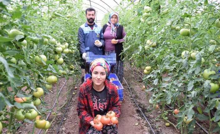 Türkiye’nin sebze meyve deposu Antalya’da kısıtlama sebze meyve üretimine engel olmadı