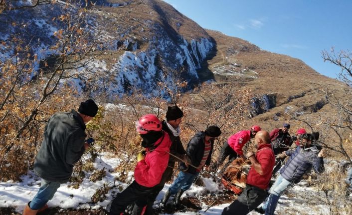 Vadiye yuvarlanan gebe inek 2 gün sonra bulundu, ekipler 9 saatte kurtardı