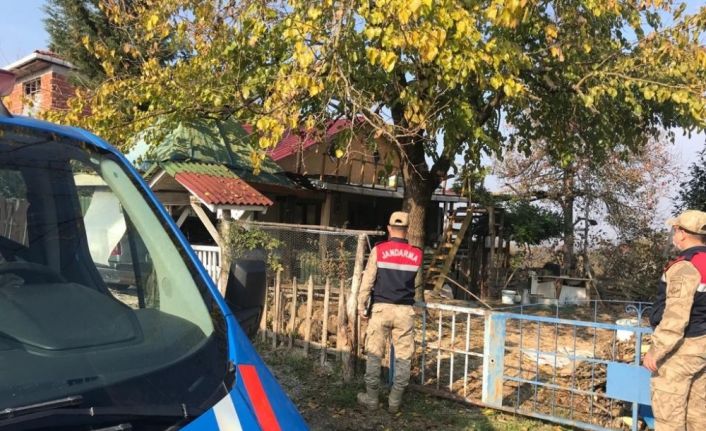 Vaka sayısı yüzde 100 artan Samsun’da polis ve jandarma ev ev denetim yapacak