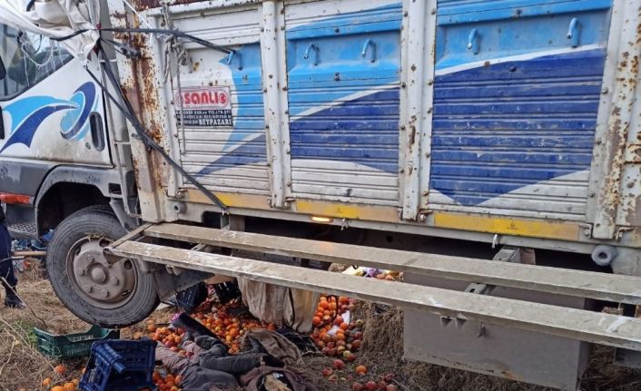 Virajı alamayan meyve yüklü kamyon şarampole uçtu: 2 ölü, 2 yaralı