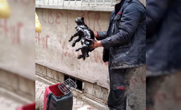 Yakıt tankına düşen kedi kurtarıldı