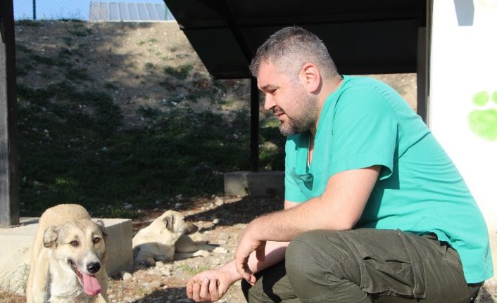 2 aylık iken yaralı bulunan Lady, 5 yıl sonra yuvaya döndü