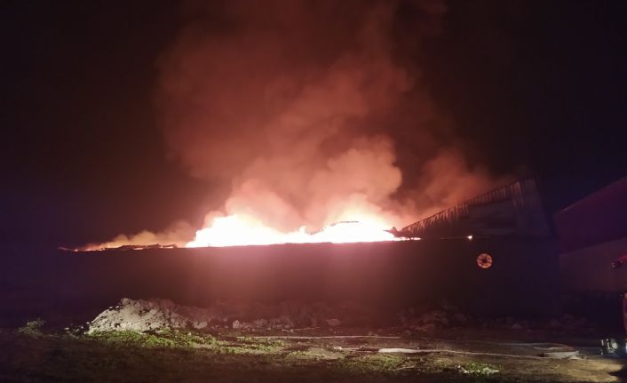Adana’nın Seyhan İlçesi Akkapı mahallesinde bulunan bir mobilya atölyesinde yangın çıktı. Alevler tüm atölyeyi sararken üst katında bulunan iki eve de sıçradı. İtfaiye ekiplerinin müdahalesi devam ediyor.