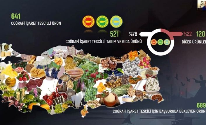 Anadolu arı ürünleri coğrafi işaretler ile markalaşacak