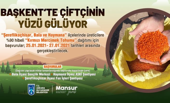 Ankara Büyükşehir Belediyesi’nden üç ilçede 400 ton “kırmızı mercimek” tohumu hibesi