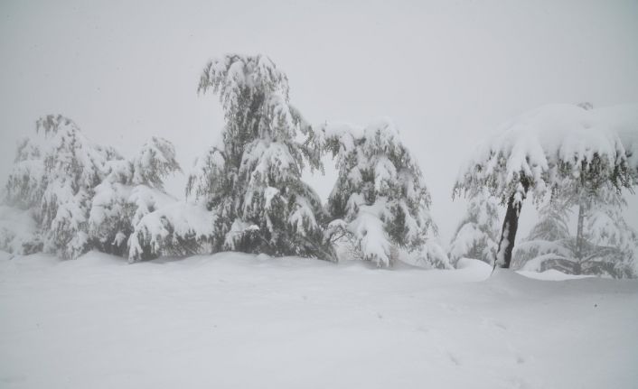 Ankara’da kar kartpostallık görüntüler oluşturdu