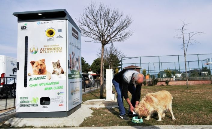 Atık malzemeler, sokak hayvanlarına mama ve barınak olarak geri dönüyor