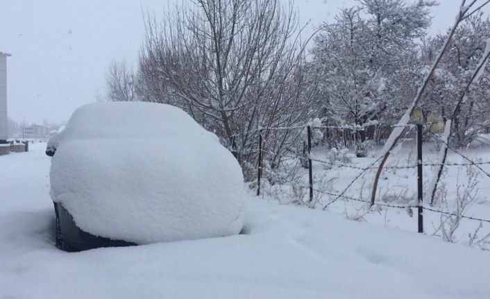 Bingöl’de 115 köy yolu kapandı, Karlıova kara gömüldü