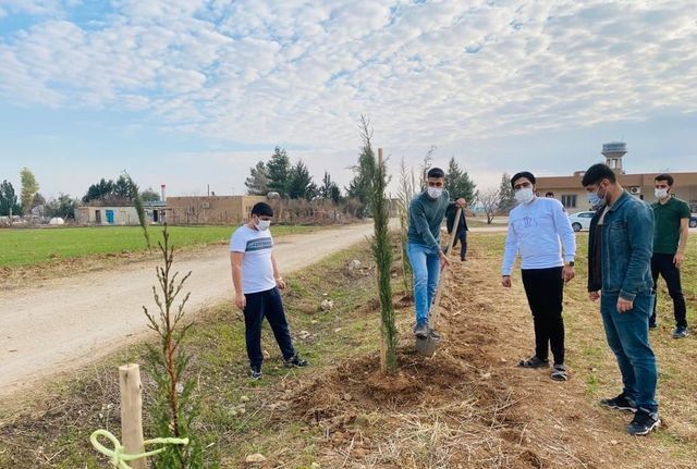 Çiftçiler sosyal medya üzerinden organize olup, kısıtlamada çam fidanı dikti