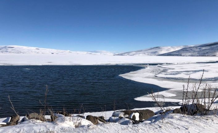 Çıldır Gölü tarihinde ilk defa Ocak ayında çözüldü
