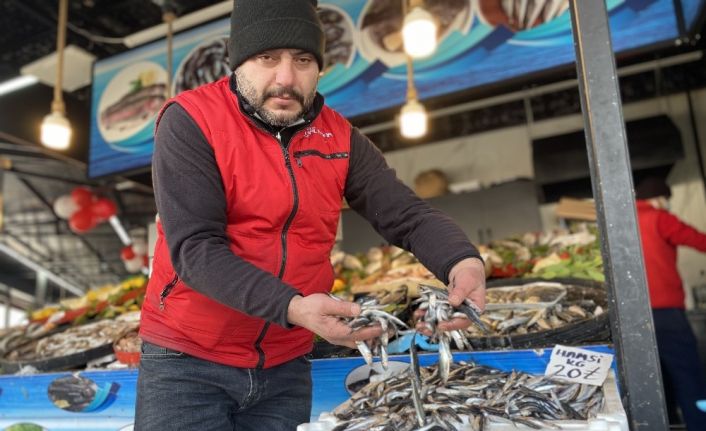 Düzceli balıkçılar vatandaşa ucuz balık yedirmek için yasağın kalkmasını bekliyor