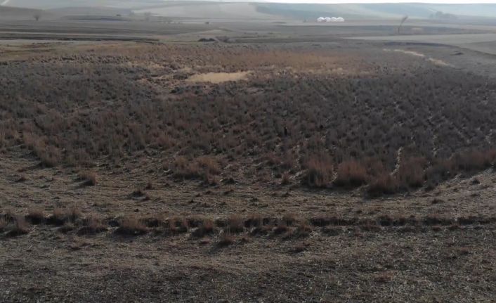 Gölet tamamen kurudu, ‘doğayı hor kullanıyoruz’ diye sitem etti