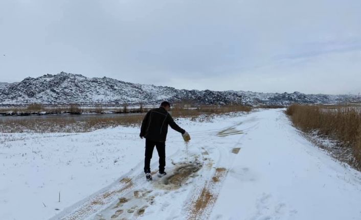 Iğdır’da kar yağışı ve aşırı soğuktan dolayı yaban hayvanları için yem bırakıldı