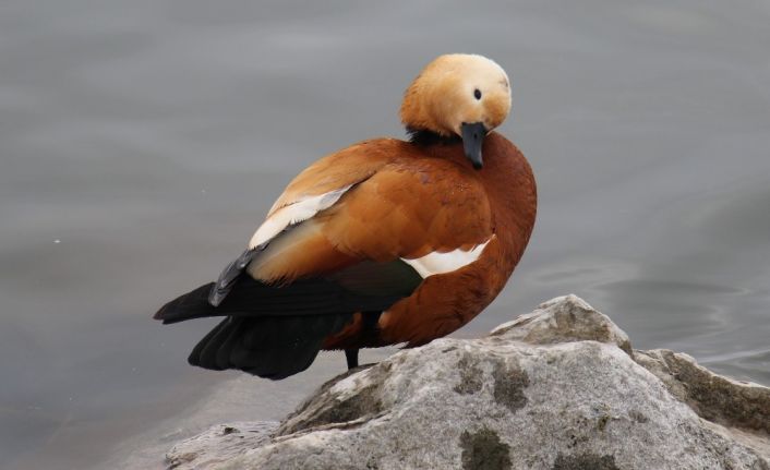 Karla kaplanan Ankara’nın güzelliği nefes kesti