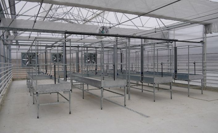 Keçiören’deki modern seraya ’Akıllı İklimlendirme Sistemi’